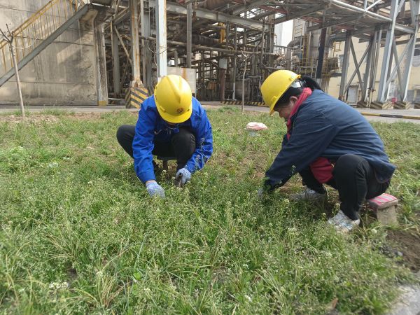 3月22日，行政保衛(wèi)部馬師傅和孫師傅在道路兩旁清除雜草。.jpg