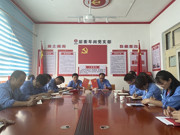 6月19日下午，尿素車間黨支部與法律審計部黨支部開展結(jié)對共建活動2.jpg