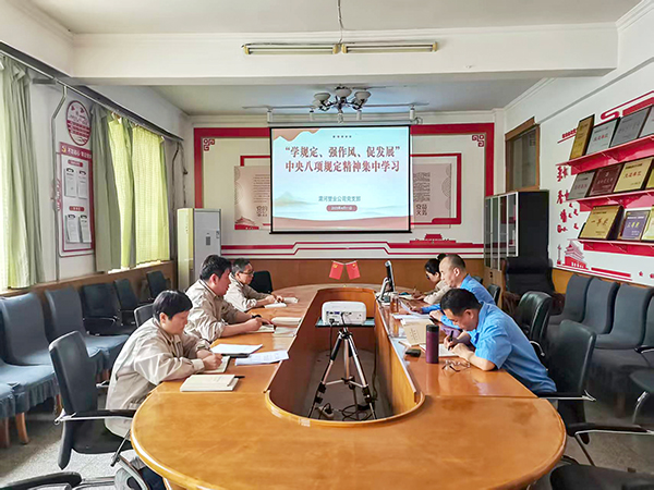 4月11日，渭河塑業(yè)公司全體黨員集中學(xué)習(xí)中央八項(xiàng)規(guī)定精神.jpg